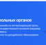 1 - Майский район
