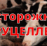 Памятка для населения «Бруцеллез сельскохозяйственных животных» - Майский район